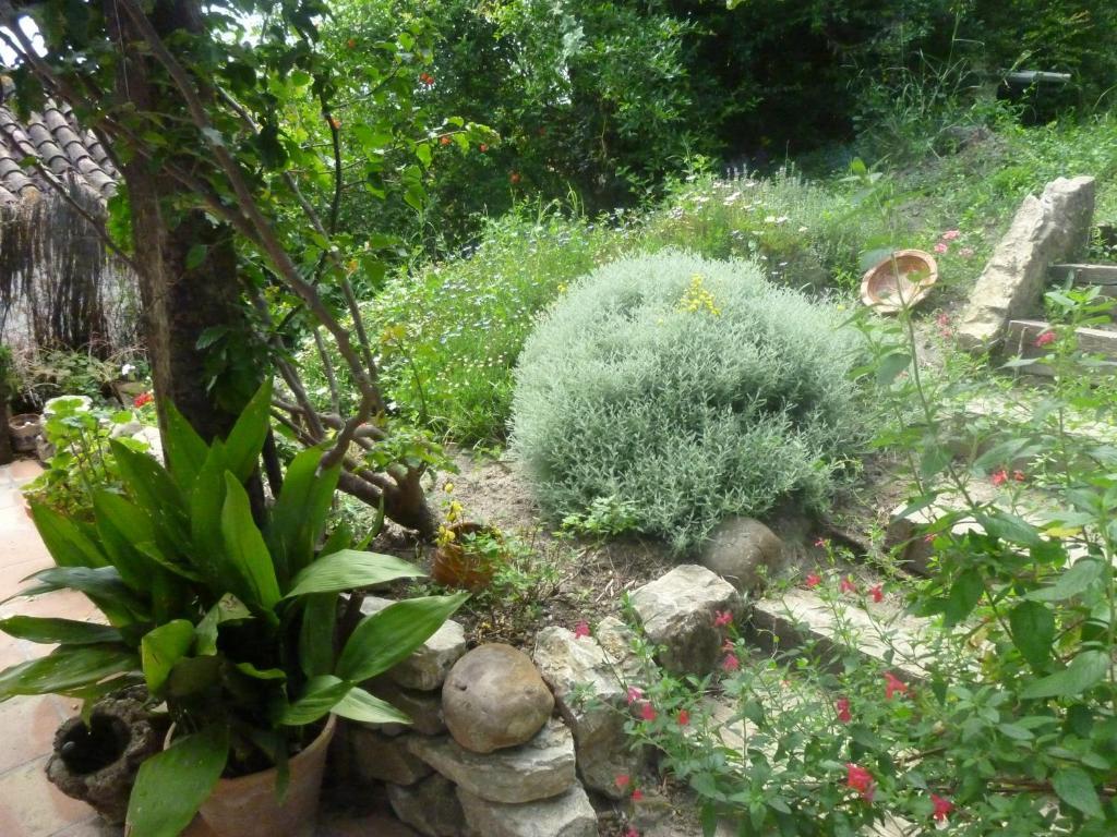 Casa rural Camino Del Castillo *