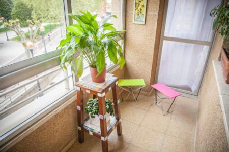 Guest house Parque Del Ebro (adults Only)