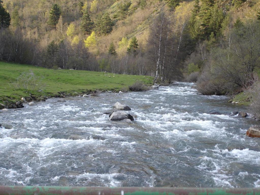Apartamento Wifi Baqueira&aigüestortes Con Jardín Privado Esterri d'Àneu