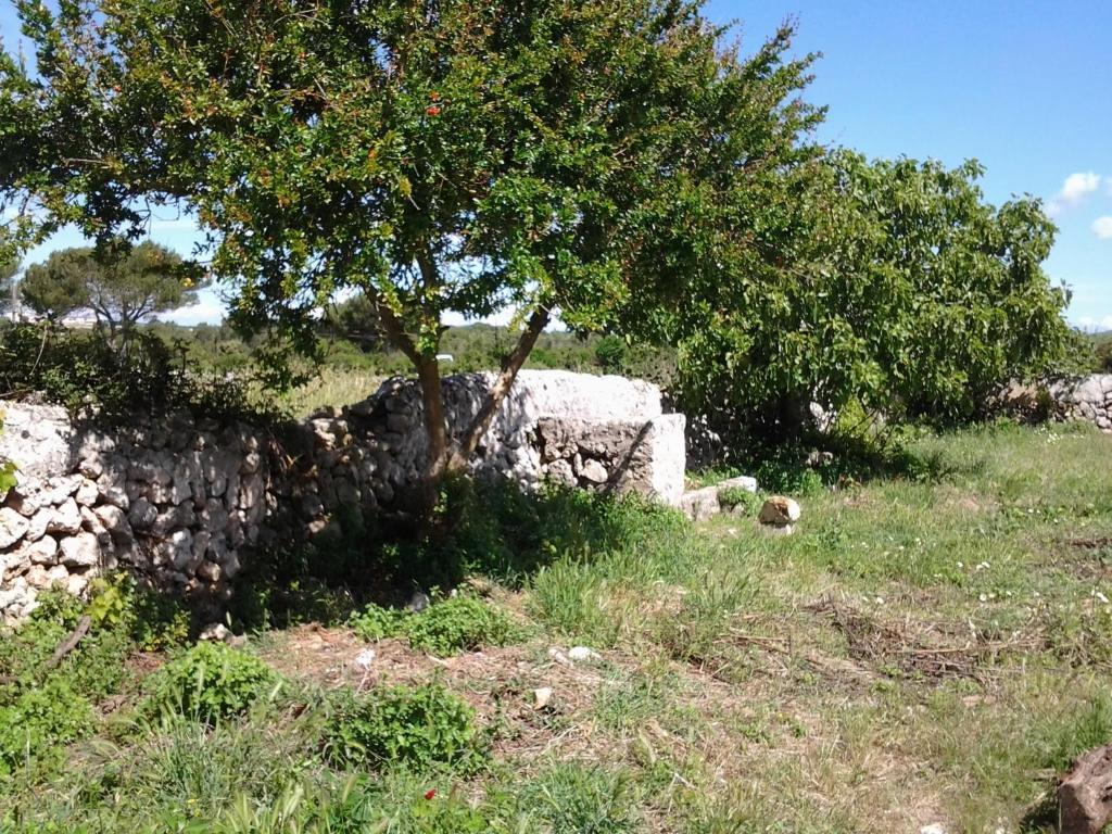 Casa rural Es Barranco *