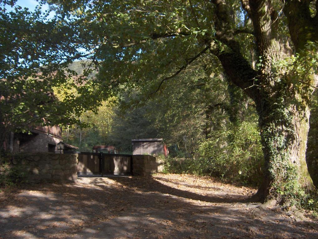Guest house Itzalargikoborda *