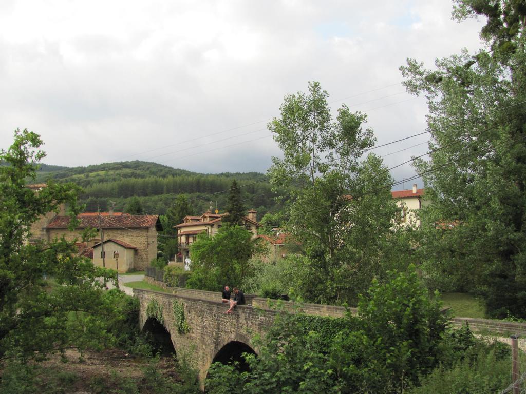 El Peregrino De Larrasoana
