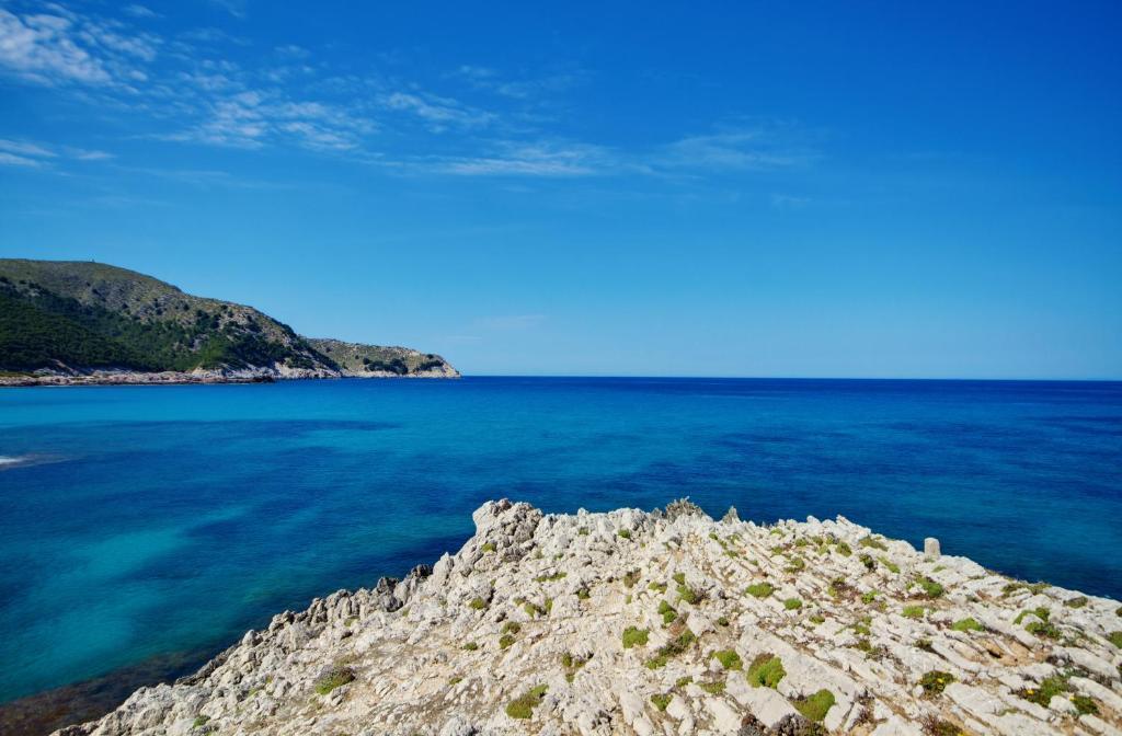Vincci Bosc De Mar Hotel 4*