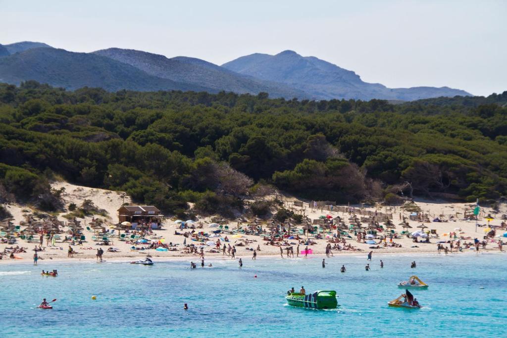 Vincci Bosc De Mar Hotel Cala Ratjada (Mallorca)