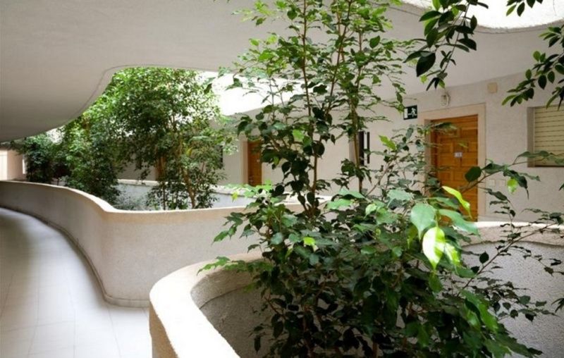 Aparthotel Palmera 2*