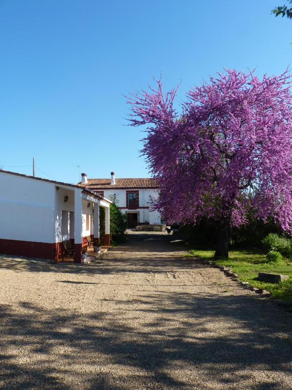 Country house Casa Rural El Recuerdo *
