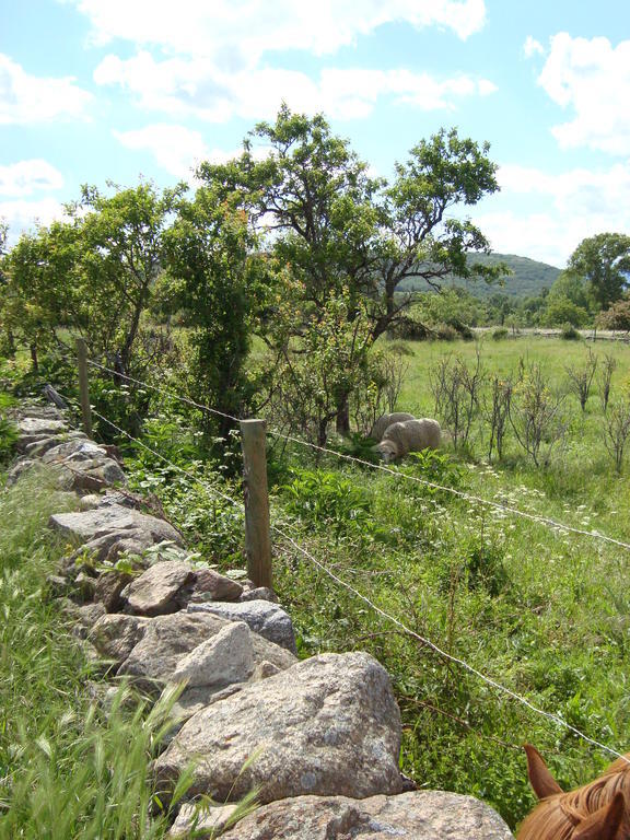 La Badila Casa rural *