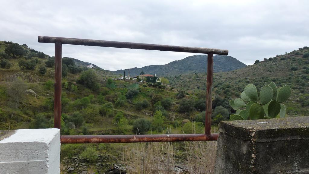 Real Quinta De La Concepcion Hinojosa de Duero