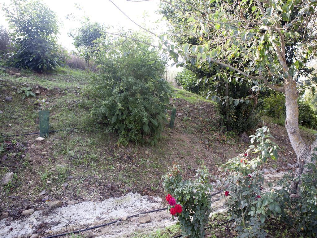 Vega El Dorado Holiday home *