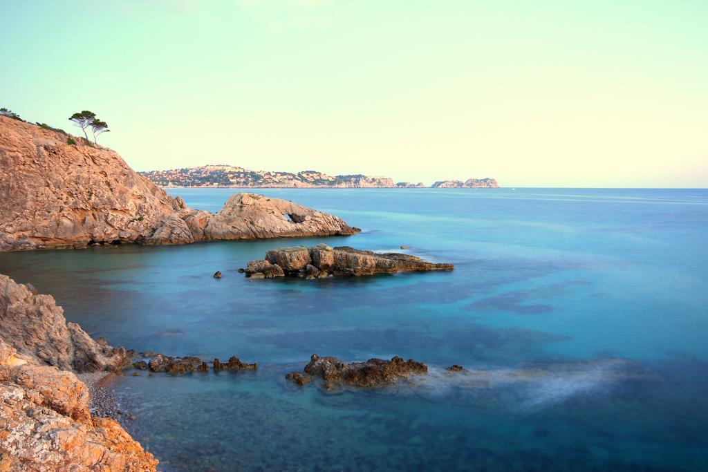 Petit Blau *