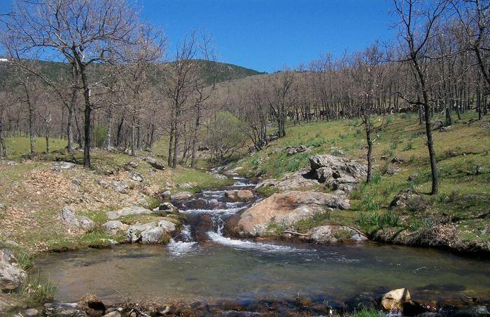 Ar La Chorrera De San Mames