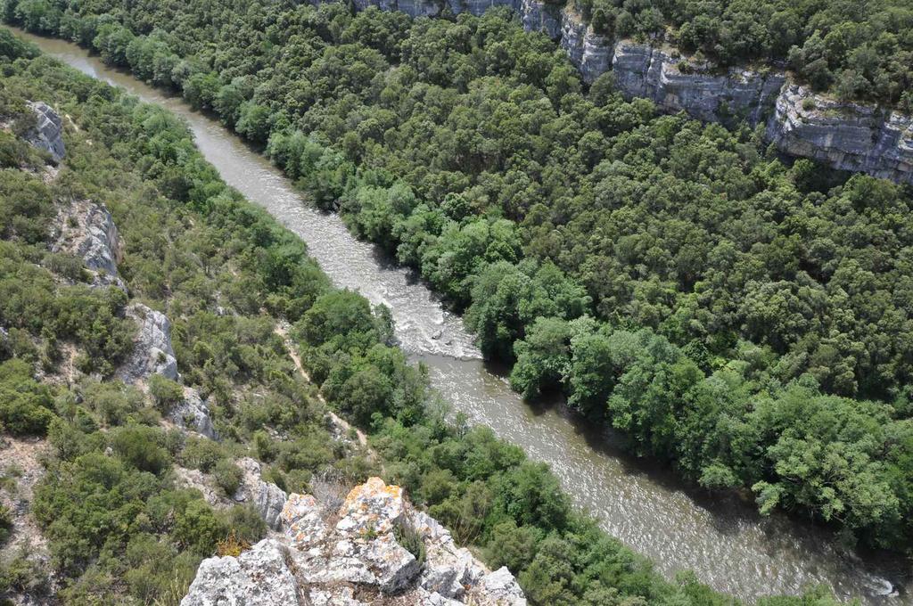 Country house El Abrigano Del Canon Pesquera de Ebro