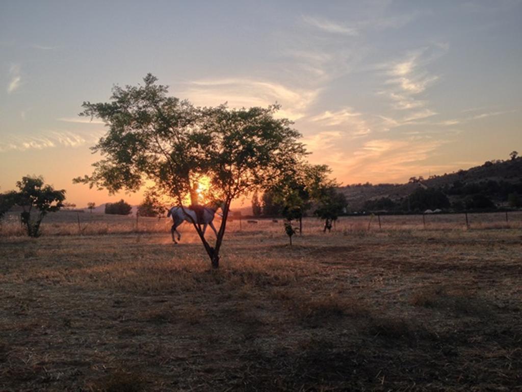 Finca La Vega Cazalla de la Sierra