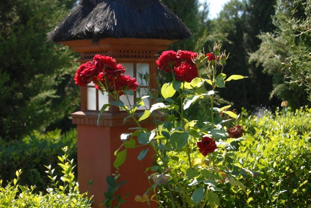 Finca La Vega Country house