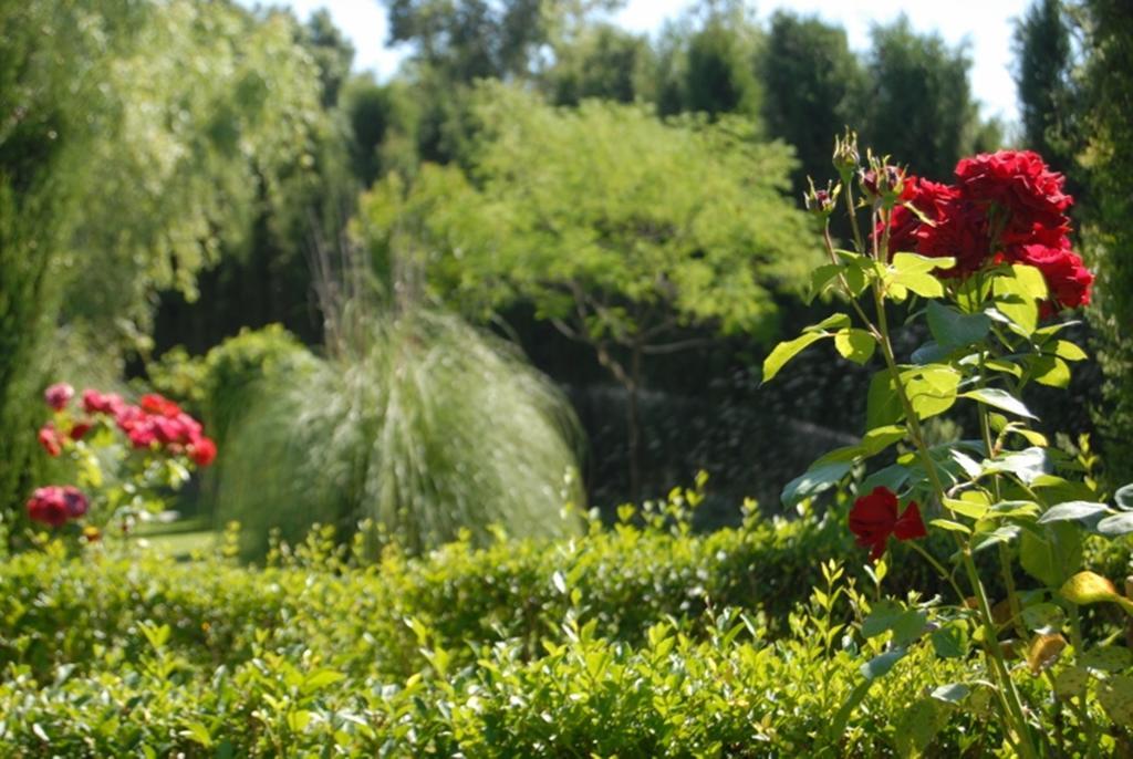 Casa rural Finca La Vega *