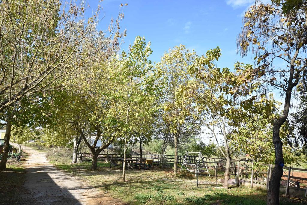 Finca La Vega Casa rural