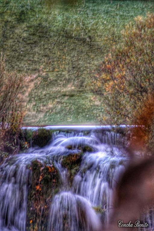 Fuente Del Arca * Cañamares
