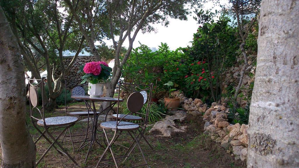 Agroturismo Sa Torre Blanca Agroturismo *