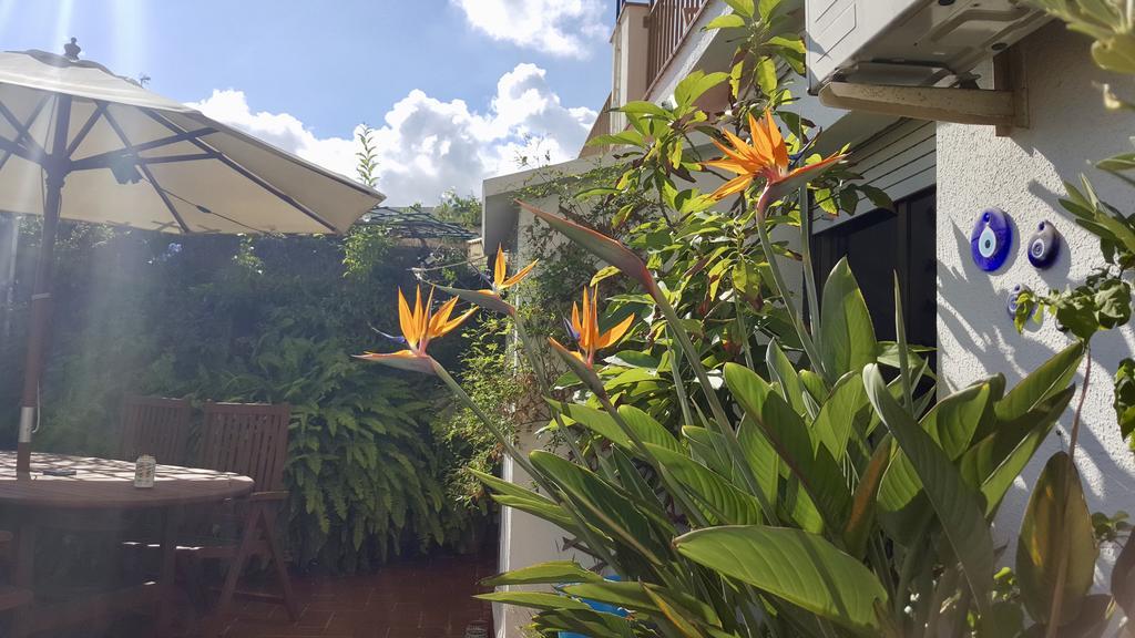 Penthouse Pujos L'Hospitalet de Llobregat