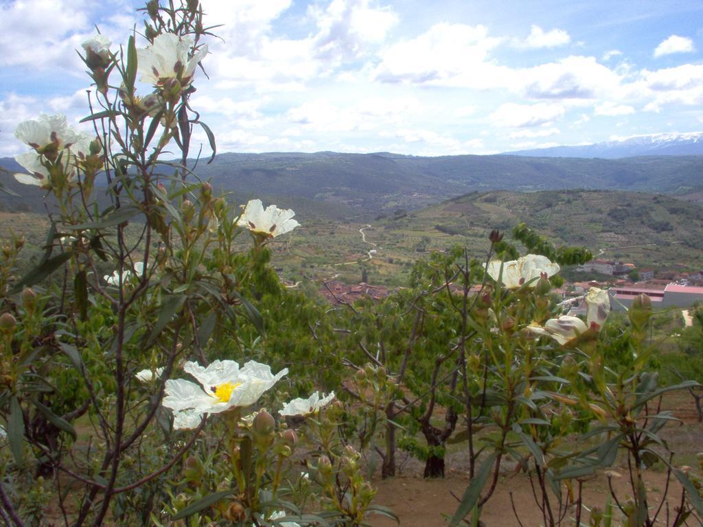 Rural Sierra De Francia 3* Sotoserrano