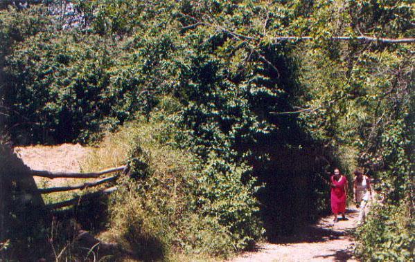 Holiday home El Risco Del Lomero