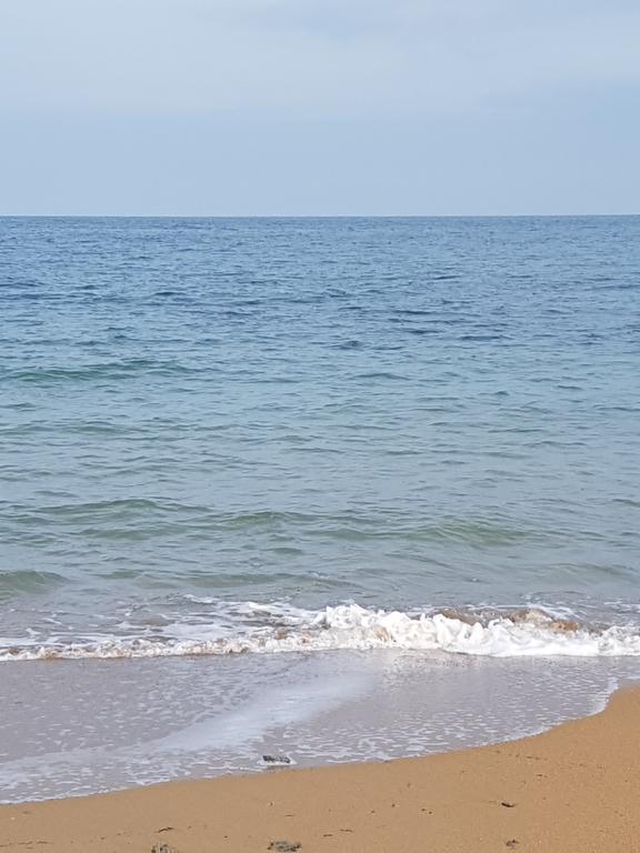 Alondras Playa Dénia
