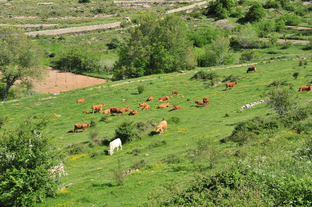 El Boixar - El Mirador Casa rural Bojar