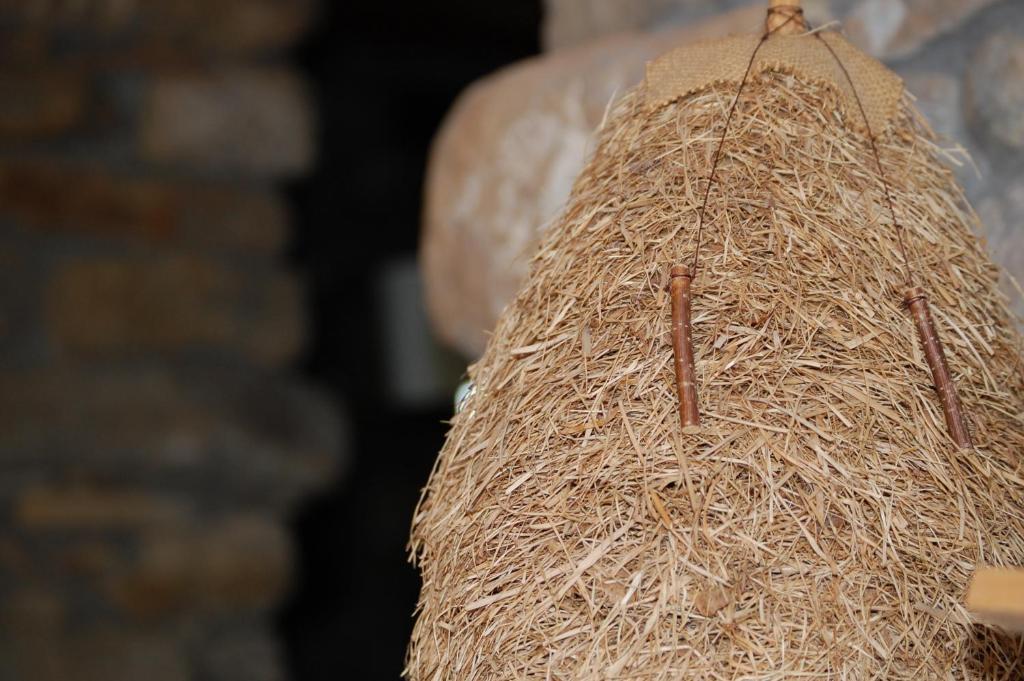 Country house Agroturismo Iabiti-aurrekoa *