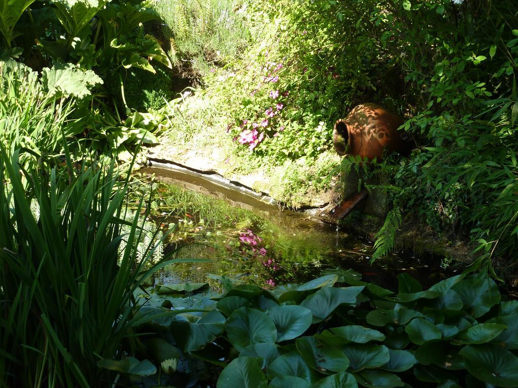 Guest house Casa San Gines Cruces