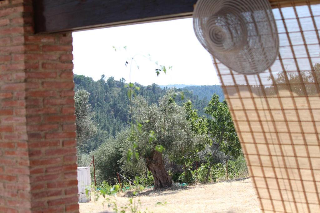 Montes * La Corte