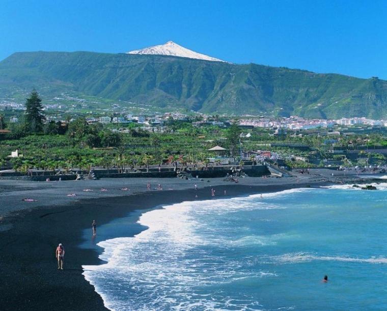 Lagarto Tenerife Pensión Valle de Guerra