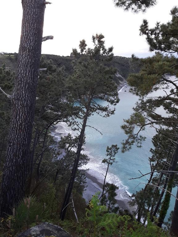 Mar Del Norte *
