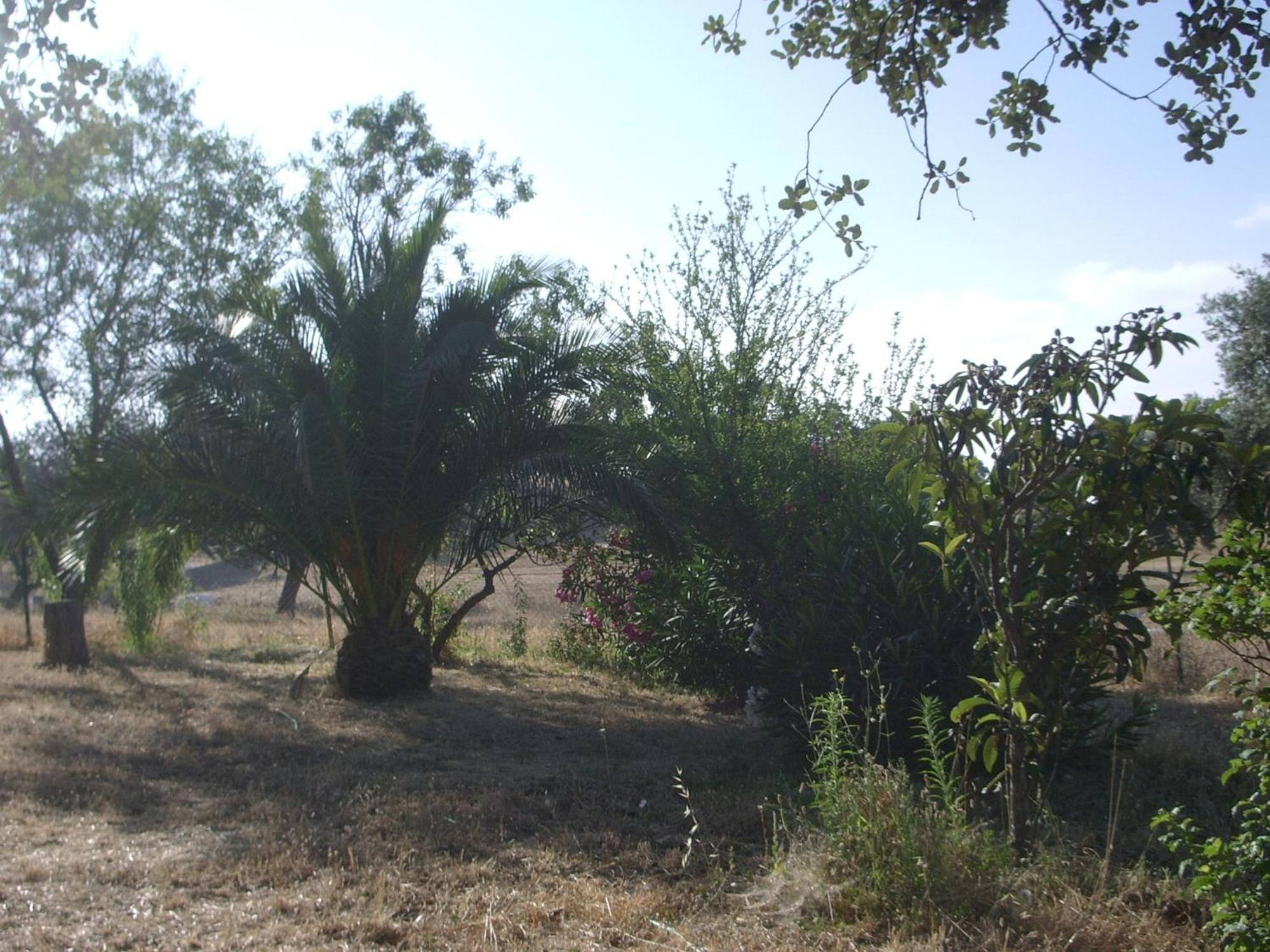 Country house Casa Rural El Tejar *