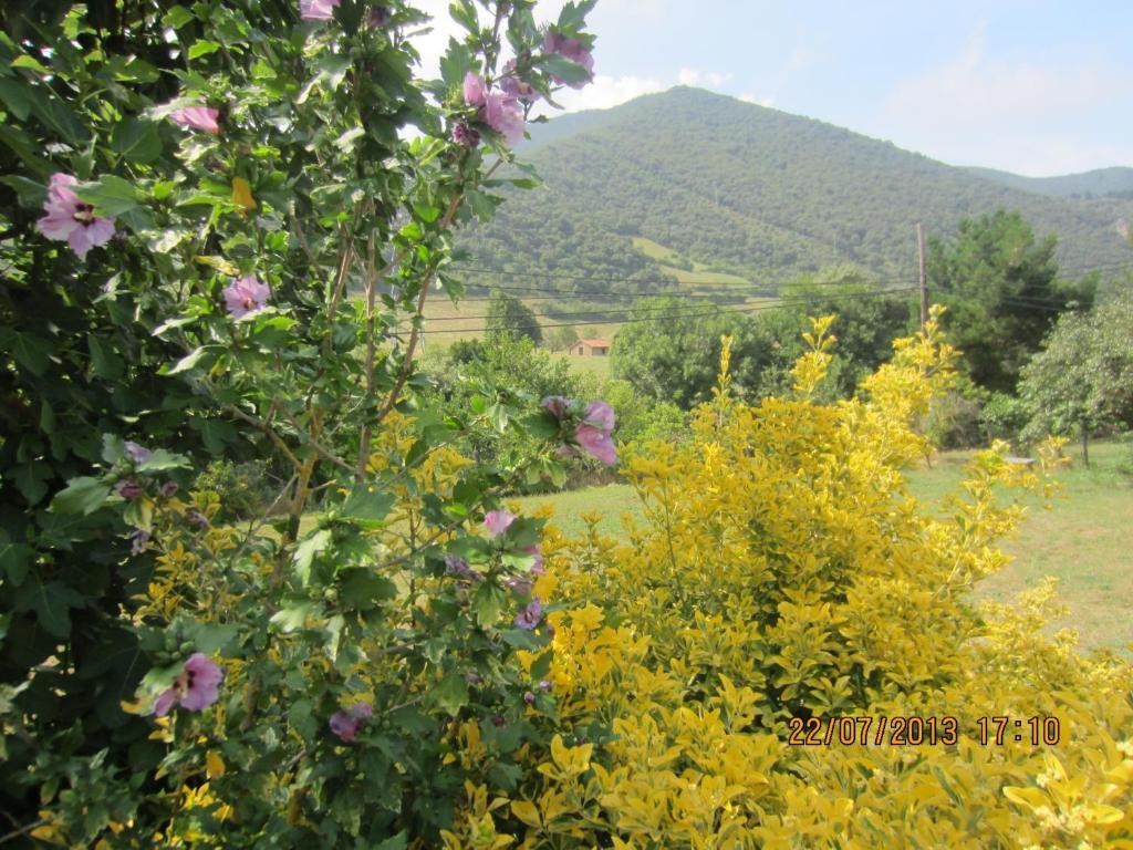 Toscana 2*