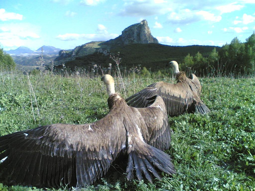 Casa Rural Coripe *