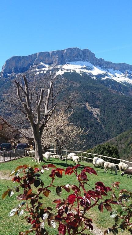 De Montaña * Lamiana