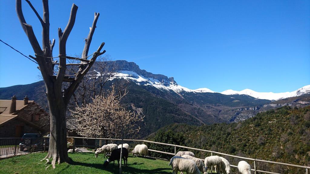 De Montaña Agroturismo