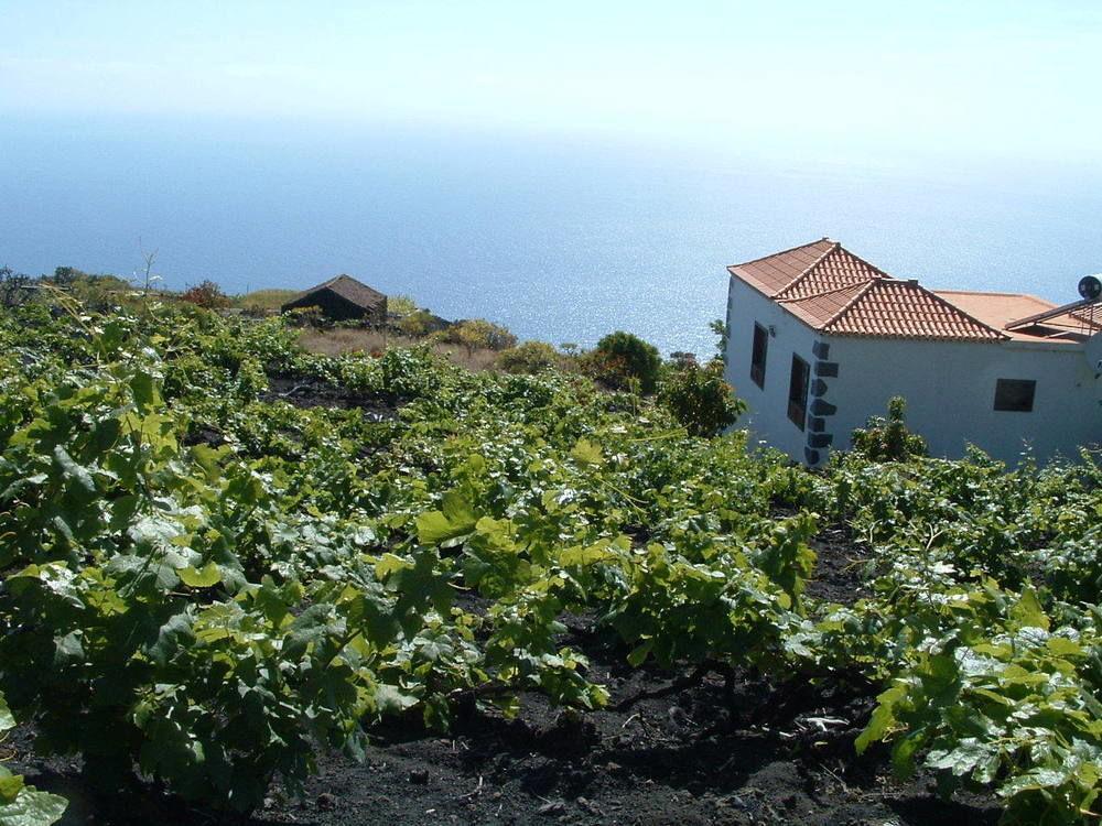 Casa Vinas Country house