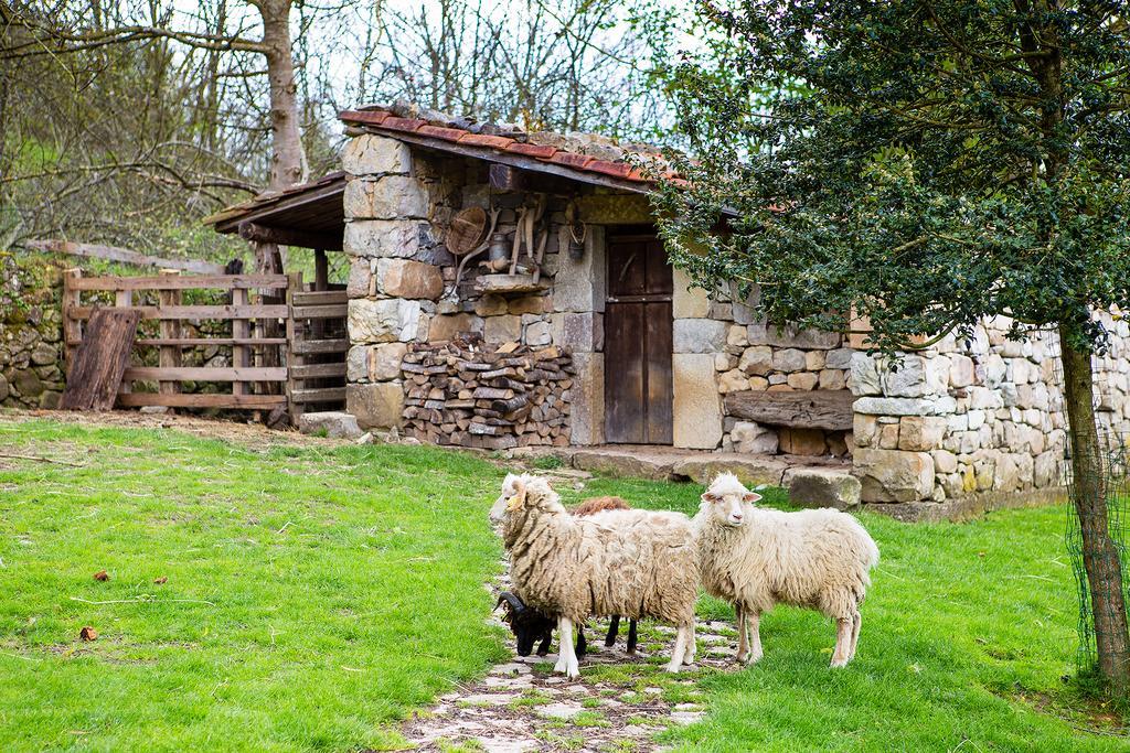 Casa rural Casa Rural La Torraya