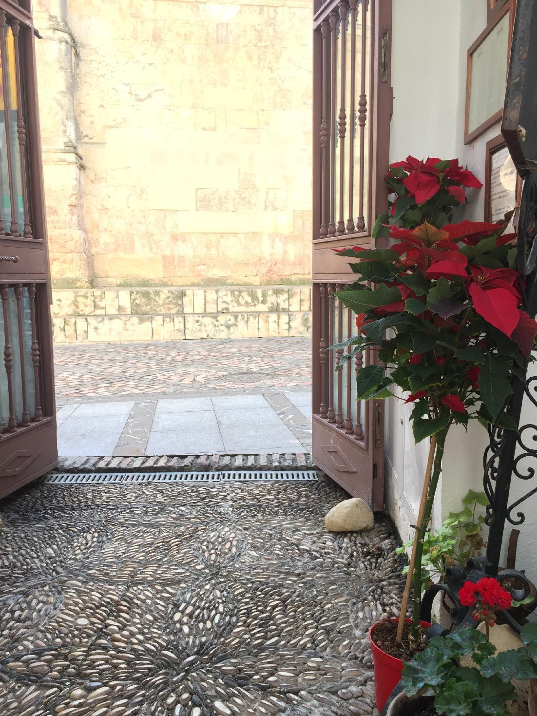 Patios Córdoba