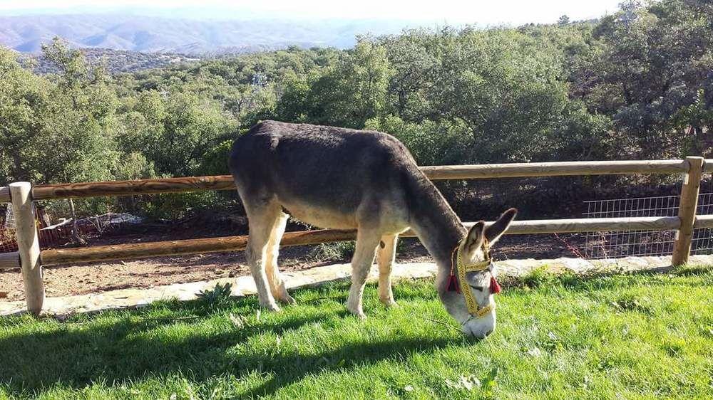 Finca El Chaparral *