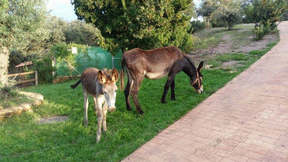 Finca El Chaparral