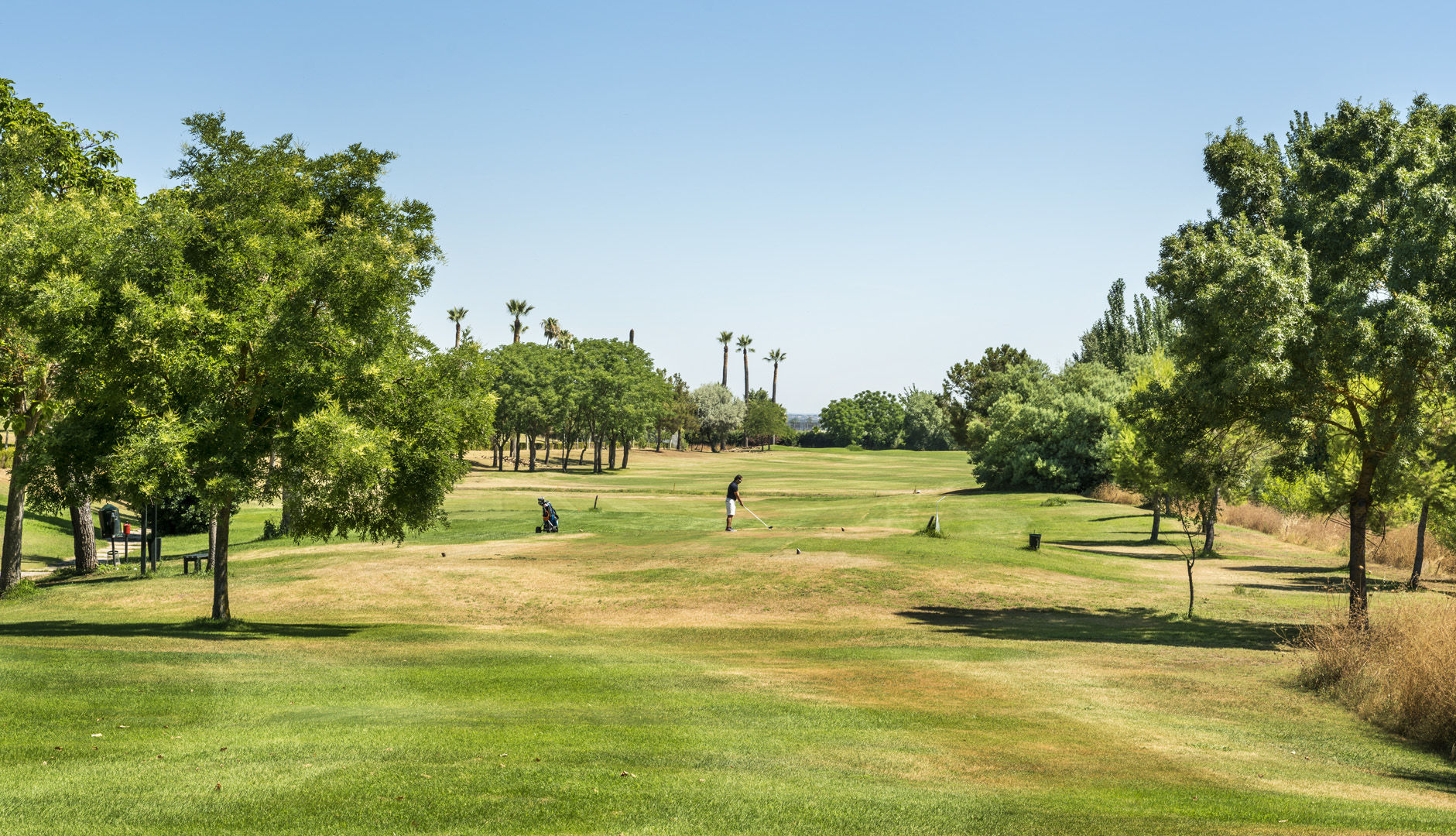 Ilunion Golf 4*