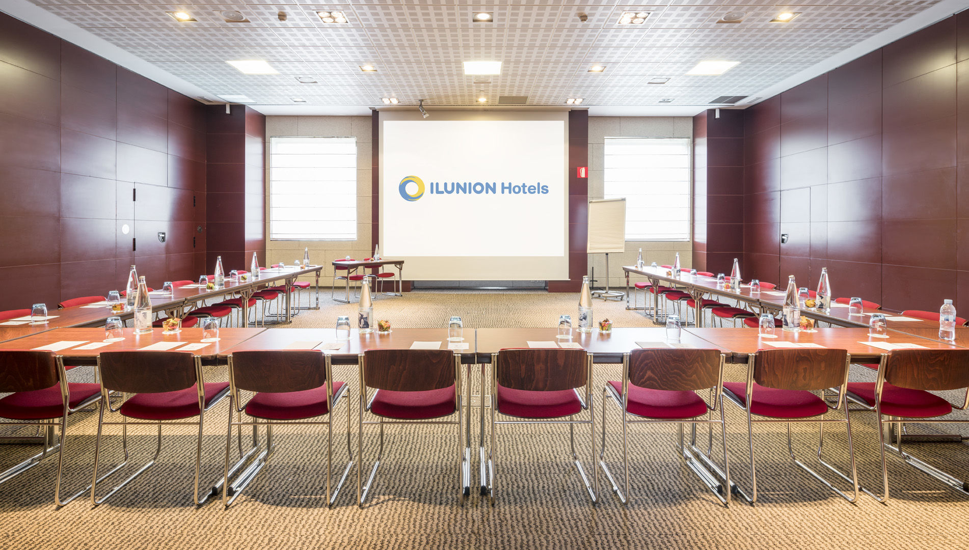Hotel Ilunion 4