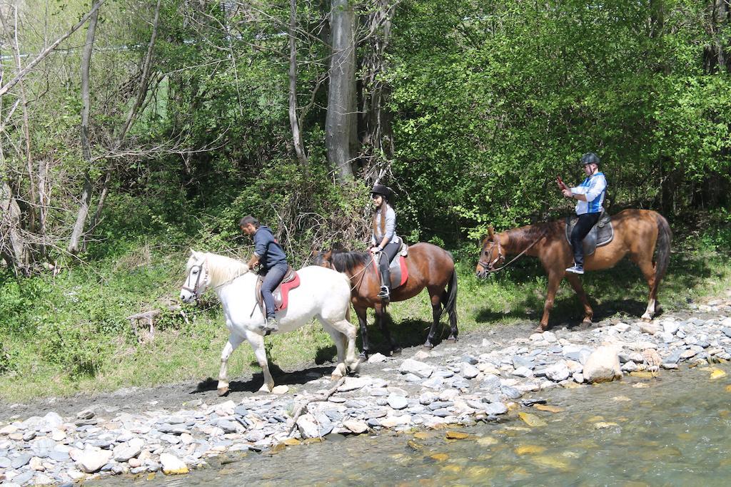Wifi Baqueira&aigüestortes Con Jardín Privado Apartamento