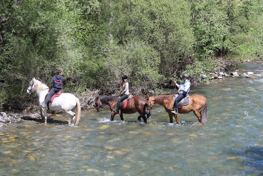 Apartamento Wifi Baqueira&aigüestortes Con Jardín Privado Esterri d'Àneu