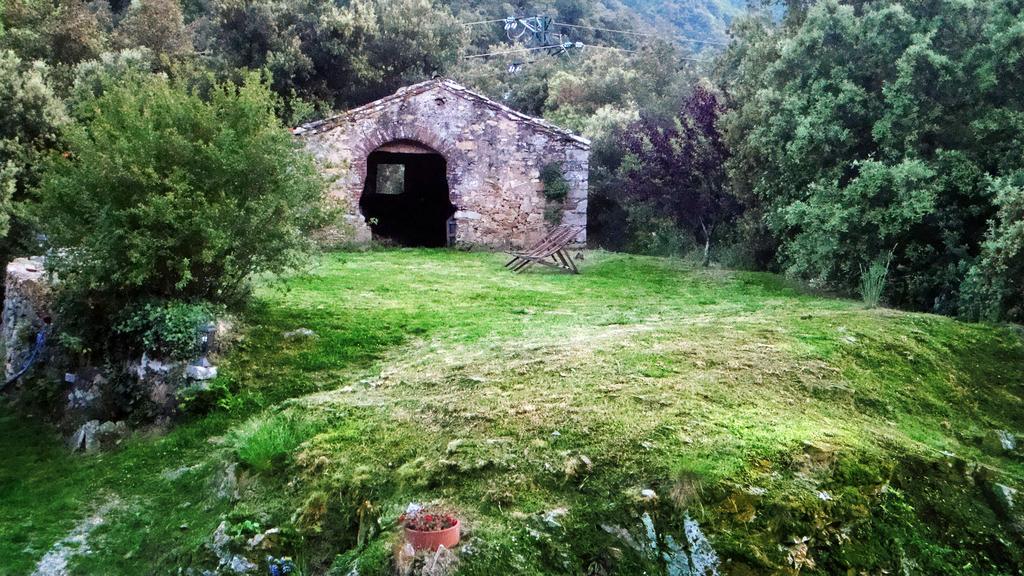 Country house Mas Els Terrats *