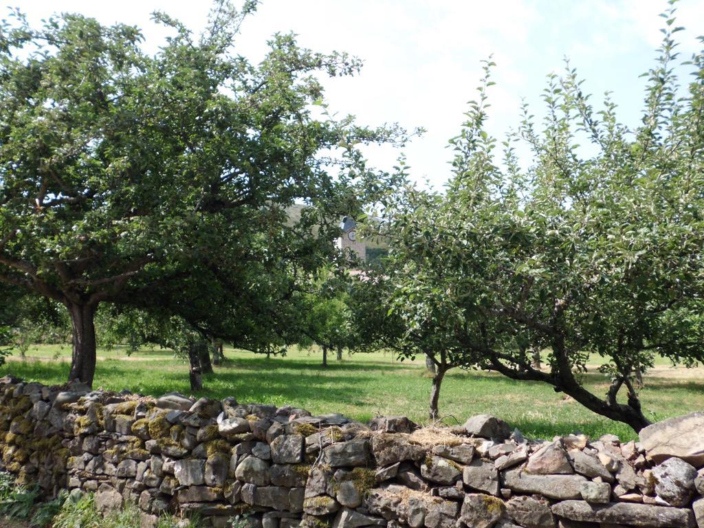 La Altanera Holiday home Barniedo de la Reina