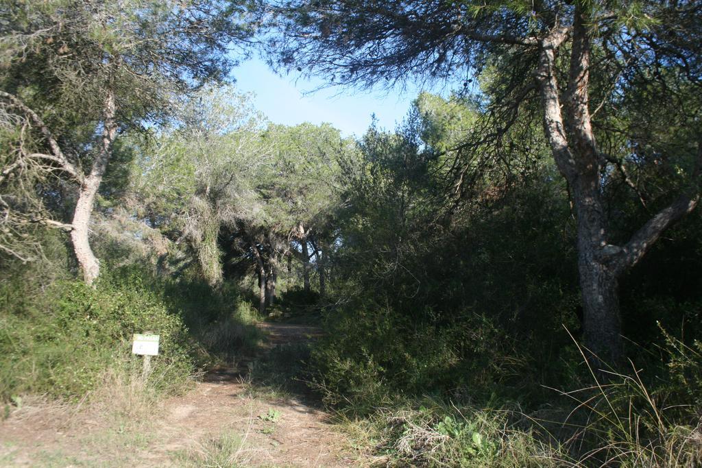 Recati Perello (Valencia)