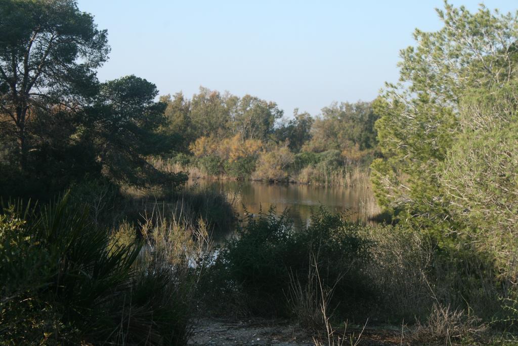 Apartment Recati Perello (Valencia)